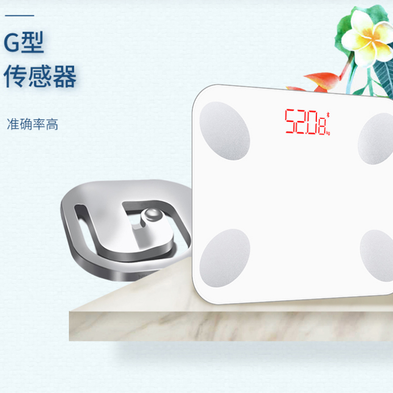 沃莱 智能体脂秤健康秤fg215rb,天津天工佳品科技发展有限公司