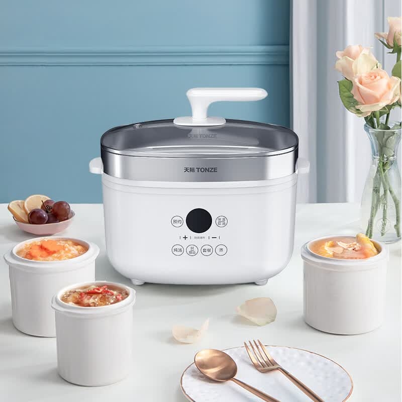 天际  电炖锅电炖盅陶瓷炖煲汤锅隔水炖DGD25-25AG