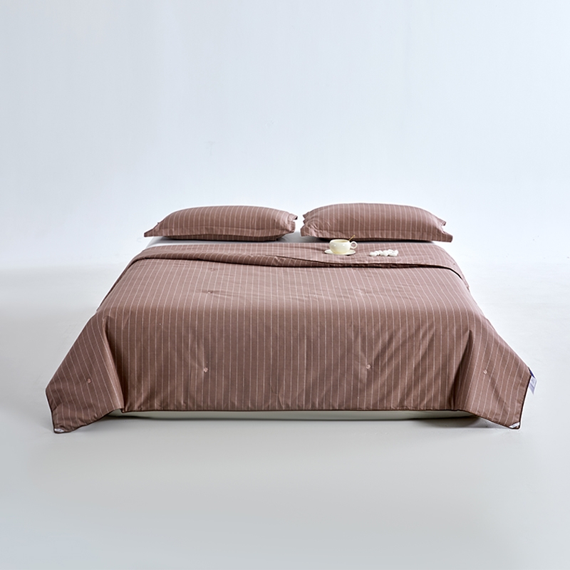 冠军（Champion）  自由动感蚕丝棉被GJ-B25-0111（冬）