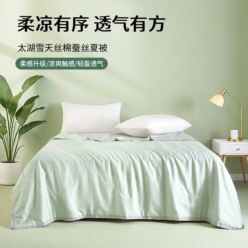 太湖雪  云感柔天丝棉蚕丝被单人