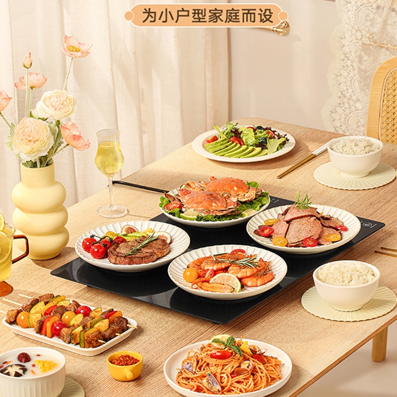 艾青春  暖菜板机械款BYD500