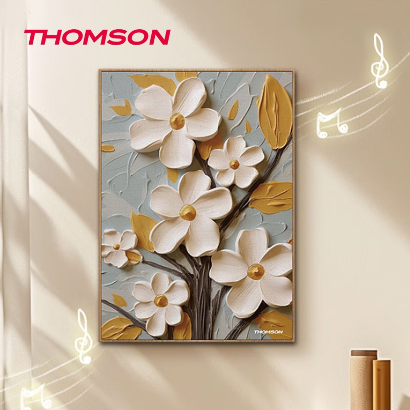 汤姆逊  蓝牙壁挂音响QY-BG002