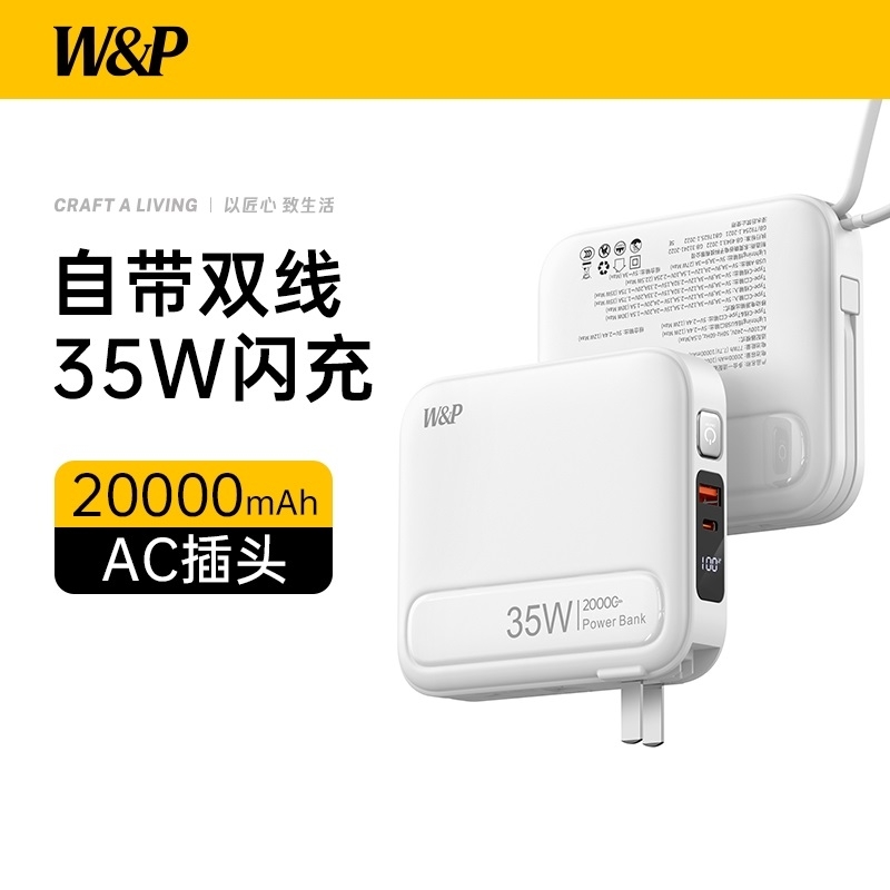 W&P  多合一移动电源DC10