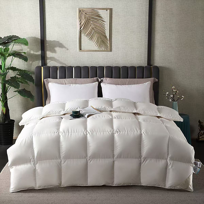 紫韵  至尊羽绒被3000gZY-DF1822