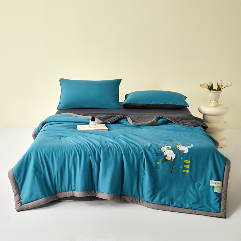 聚银  水洗云朵棉新疆棉花夏被四件套JYF-TJ2026007