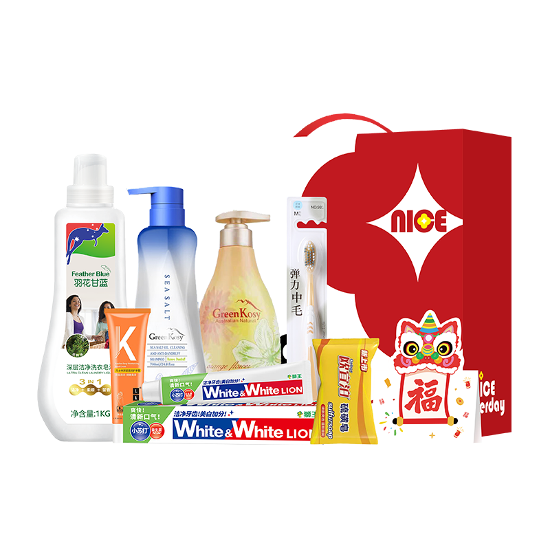 狮王  便携手提洗护5件套JKXH-250902