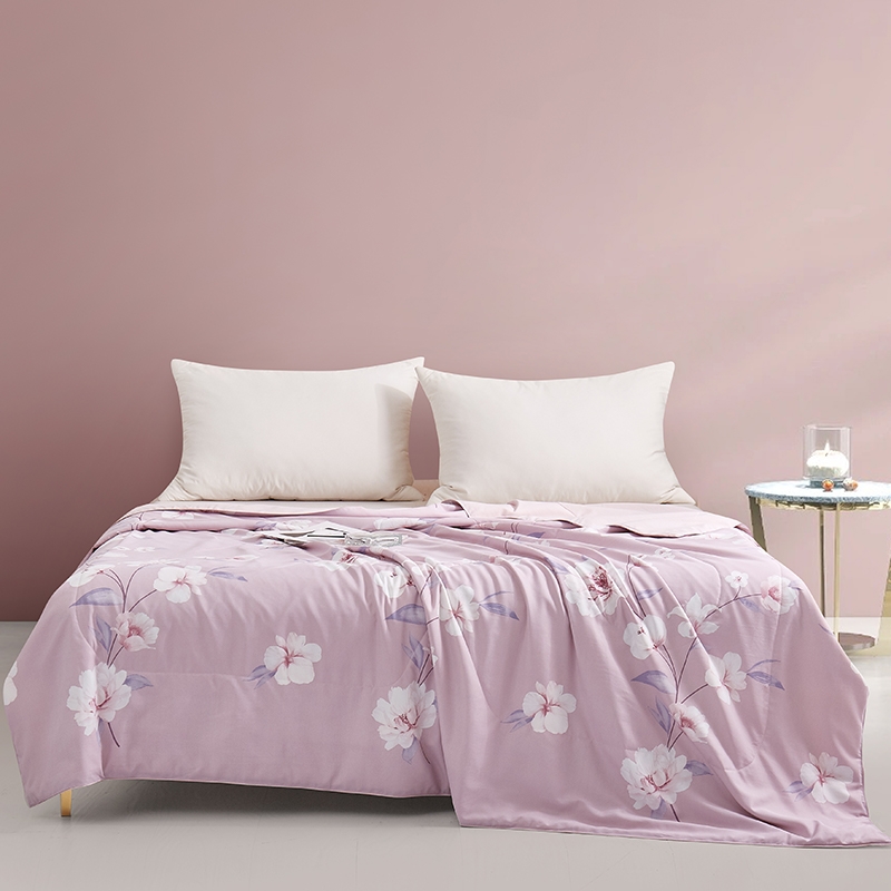 太湖雪  冰氧天丝蚕丝夏被0101040006